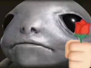 🌷