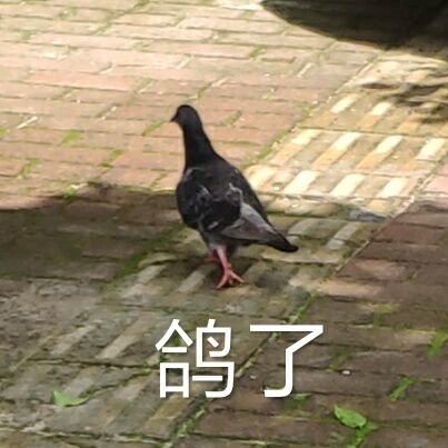 闲庭信步