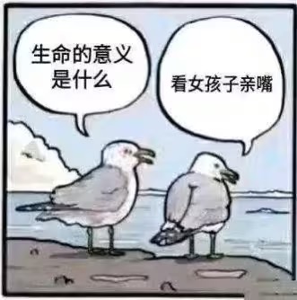 生命的意义是什么