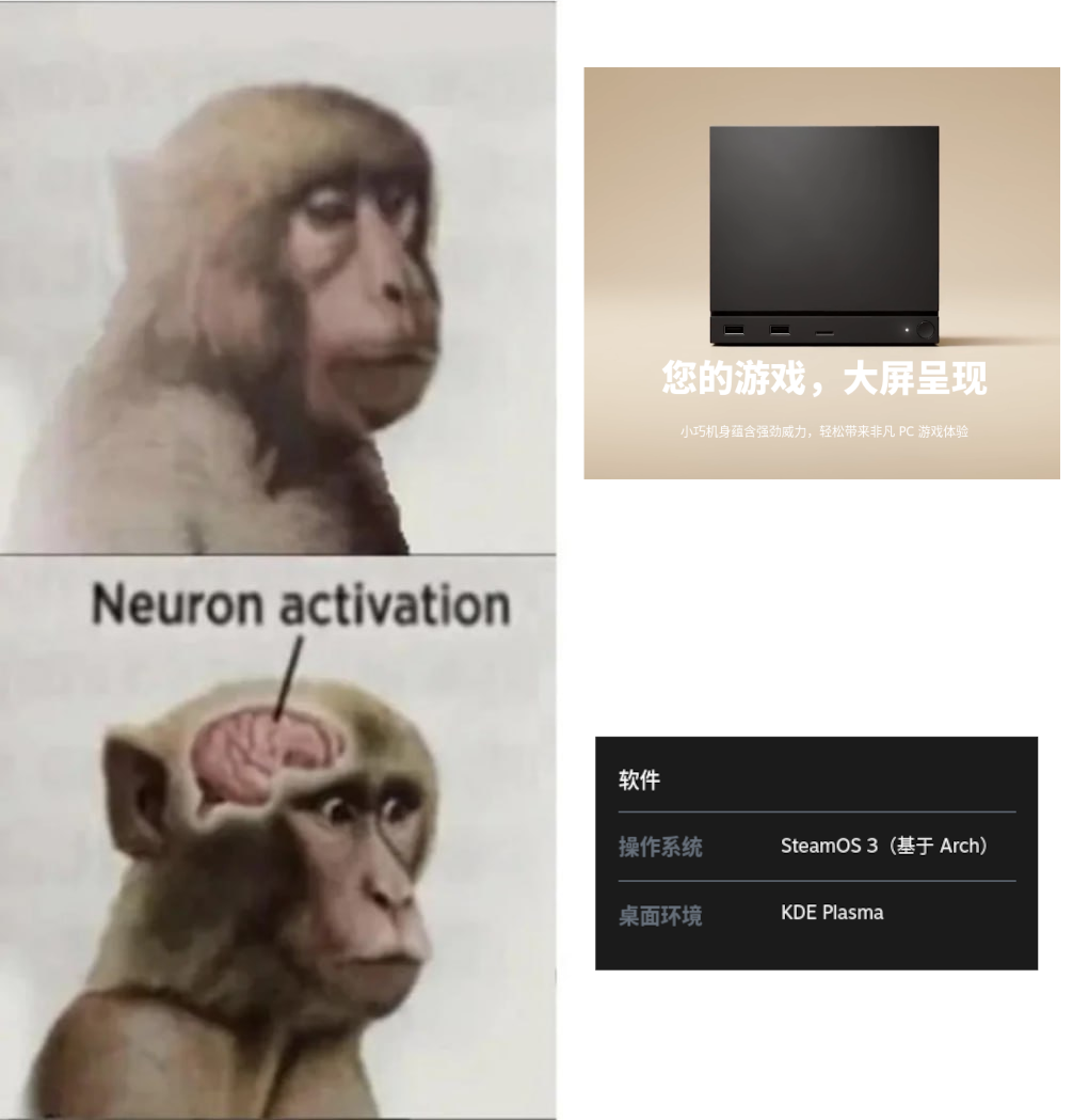 神经元激活