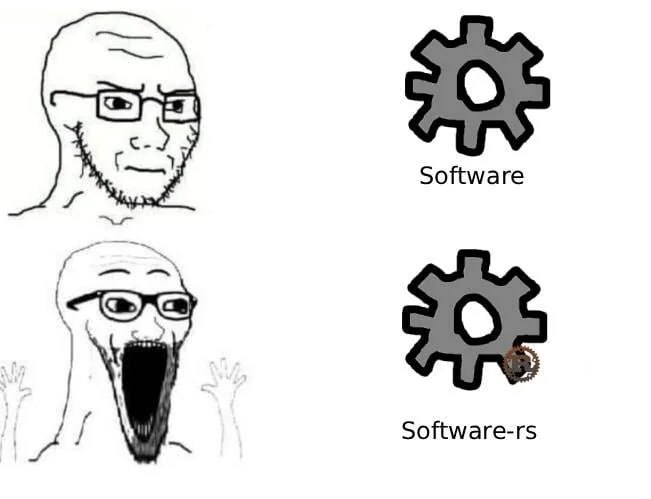 software VS software-rs