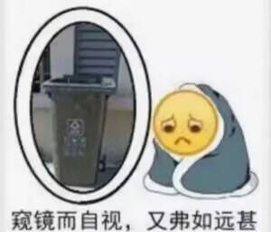 弗如远甚